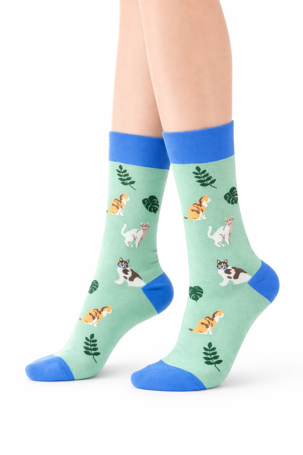 Носки р.35-40 "Cats" Кошечки на Бирюзовом