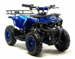 Электроквадроцикл Motoland ATV E009 1000W