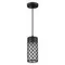 4834/1 NATURE ODL21 742 черный/стекло Ландшафтный светильник-подвес E27 1*60W IP44 DUNES