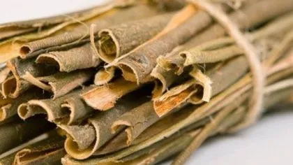 Ивовая кора