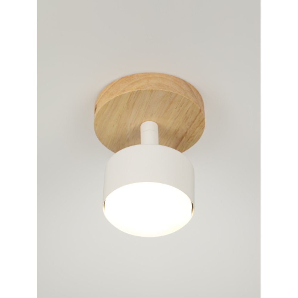 Светильник настенно-потолочный спот Rivoli   7078-701 1хGX53 15 Вт поворотный