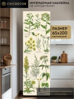 Наклейка интерьерная на холодильник Гербарий
