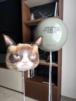 Воздушные шары №6273