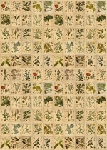 Цифровое панно ID Wall ENCYCLOPEDIA