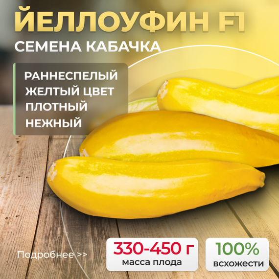 Йеллоуфин_F1_семена_кабачка_Enza_Zaden_купить_кабачок