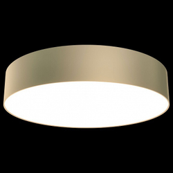 Накладной светильник Maytoni Technical C032CL-L43MG4K