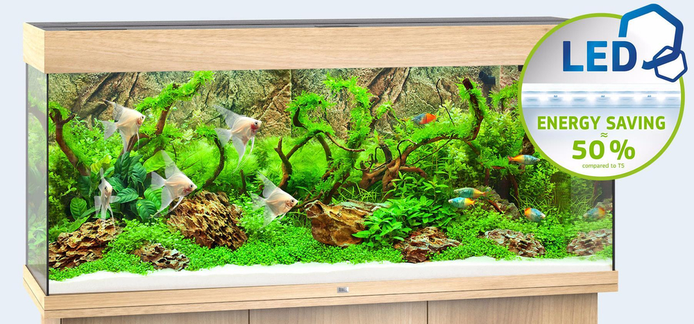Аквариум Juwel Rio 240 LED светлое дерево