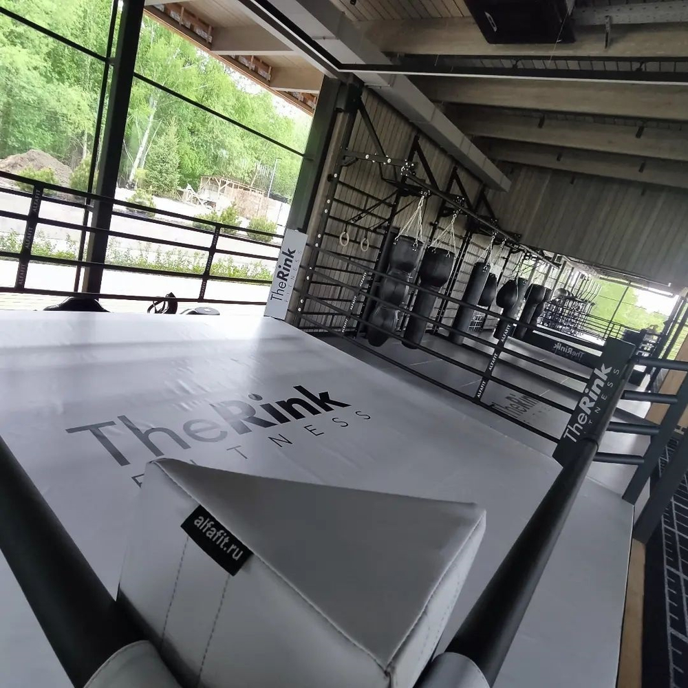 Ринг боксерский TARGEX на помосте высотой 0,5 м