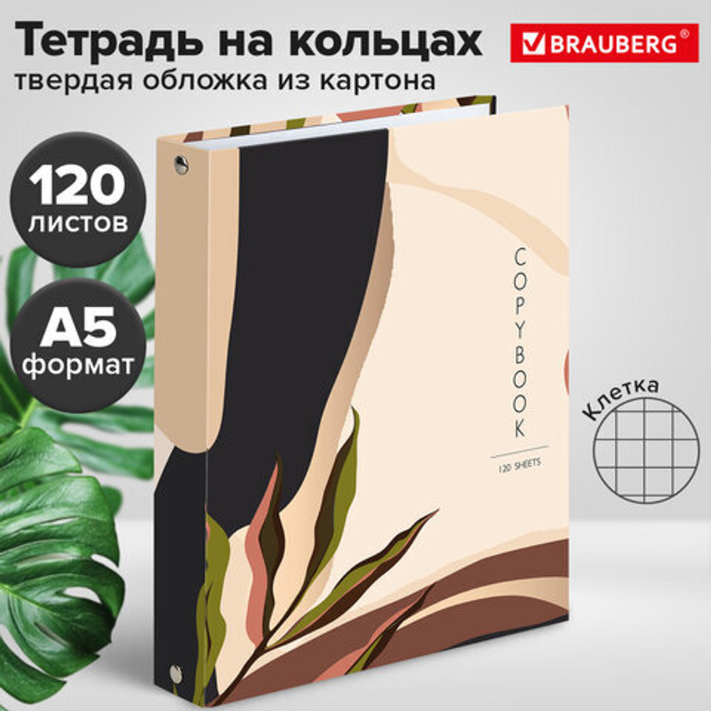 Тетрадь на кольцах А5 175х215мм, 120л, твердый картон, клетка, BRAUBERG, Vision, 404075