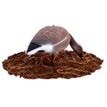 Гусь гуменник Softplast 3D мод. GS-3D