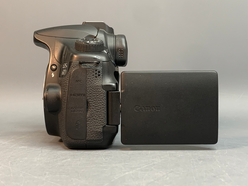 Canon EOS 60D 113.000 кадров
