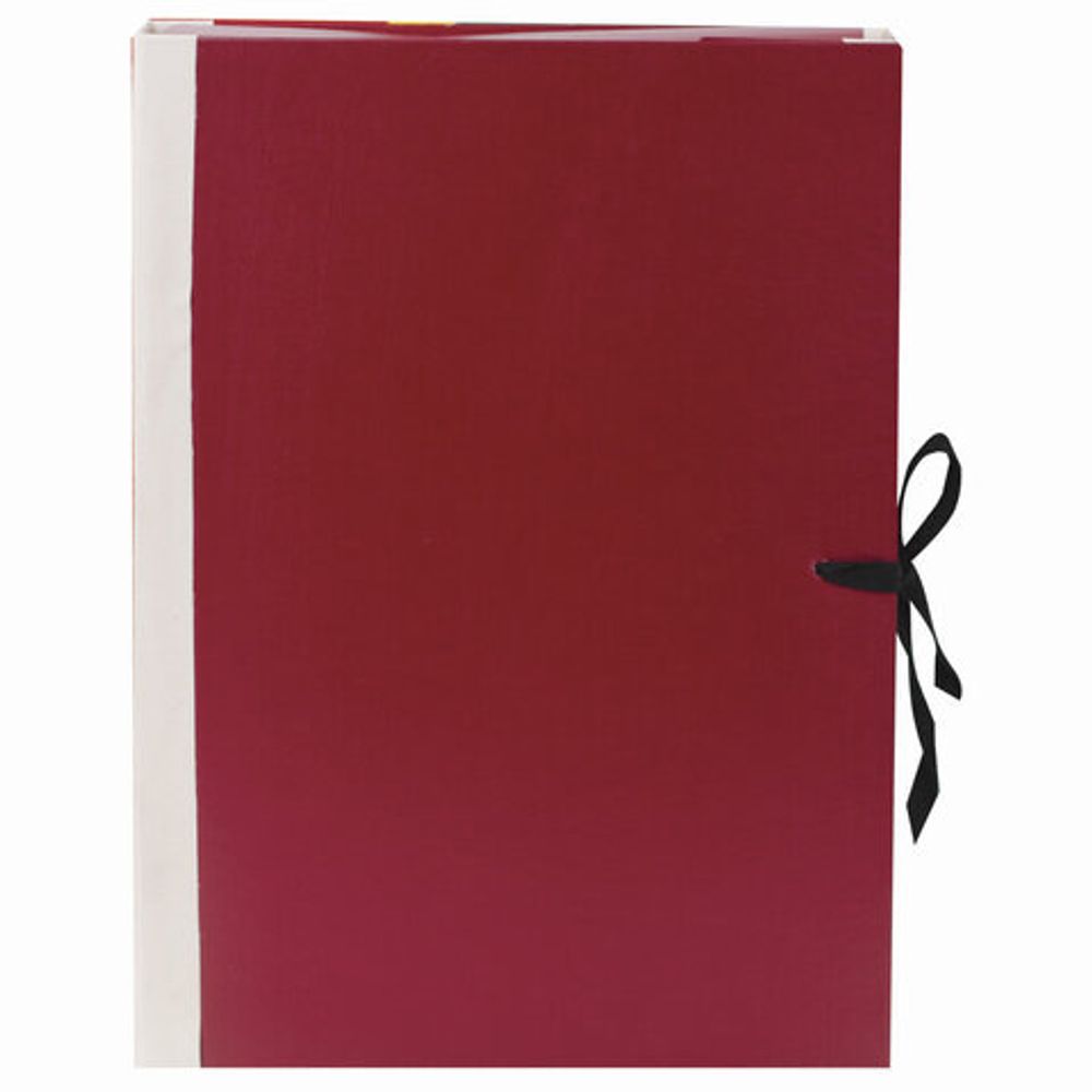 Папка для бумаг архивная А4 (225х310 мм), 80 мм, 4 завязки, бумвинил, корешок - коленкор, 123200