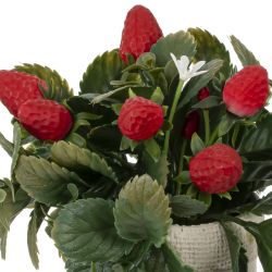 GAEM Цветочная композиция "Земляника", L18 W13 H19 см