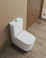 Унитаз-компакт напольный Ceruttispa Alvaro Tornado CT11089