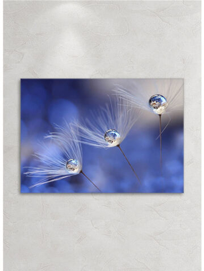 Картина на стекле/ Картина на стену Невесомость, 28х40см Декор для дома, подарок