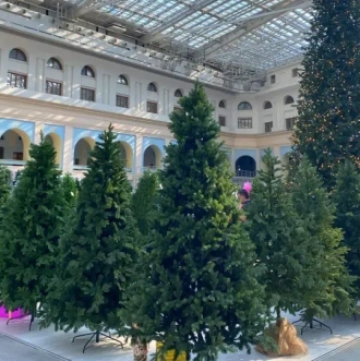 Елки от 1 м до 8 м для помещений