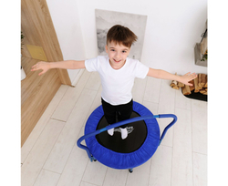 Батут с поручнем DFC Gardenature 36'' синий