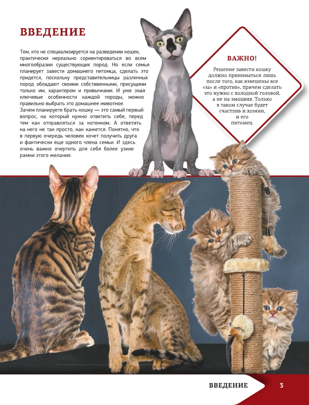 Самая лучшая иллюстрированная энциклопедия. Кошки