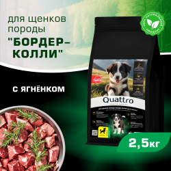 Корм сухой для щенков породы Бордер-колли, премиум полнорационный комплекс, с ягненком, 2,5 кг, QUATTRO