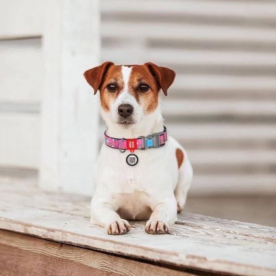 Не теряй меня! Современные недорогие адресники.