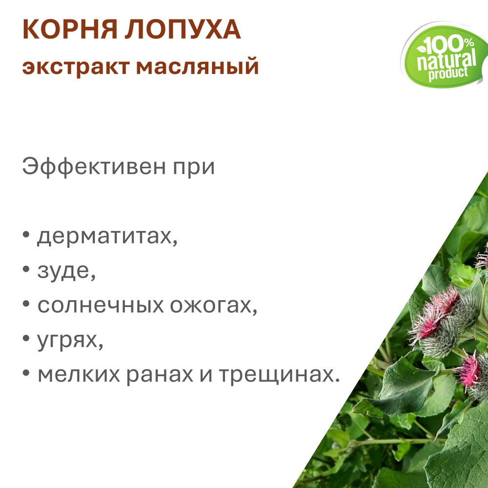 Экстракт корня лопуха, масляный