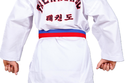 Пояс для тхэквондо ProfSport без вышивки (4 см) красно-синий