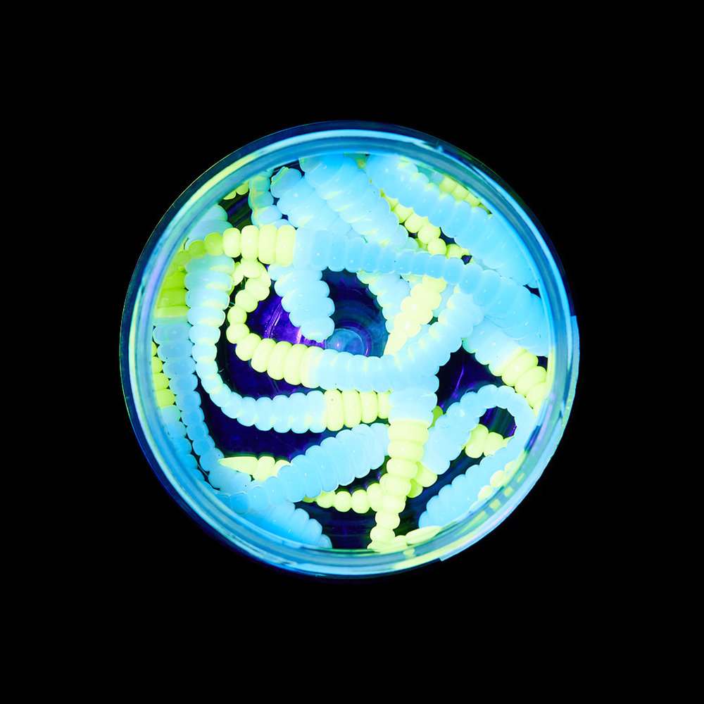 Форелевая приманка "Minoga" BOBR 3,2"(10шт) 80мм, 1,2гр, цвет 24