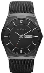 Мужские наручные часы Skagen SKW6006