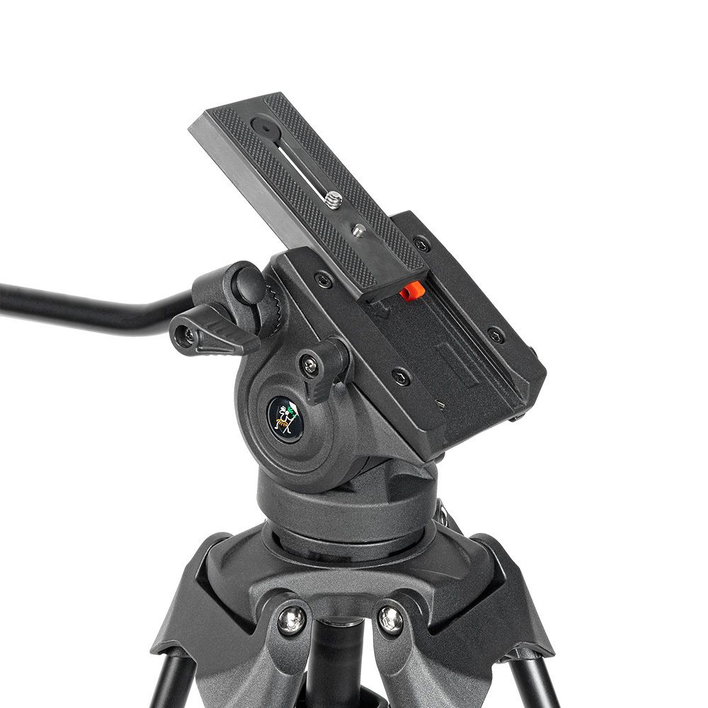 GreenBean HDV Elite 419