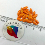Проскор F1 семена огурца партенокарпического (Nunhems / ALEXAGRO)