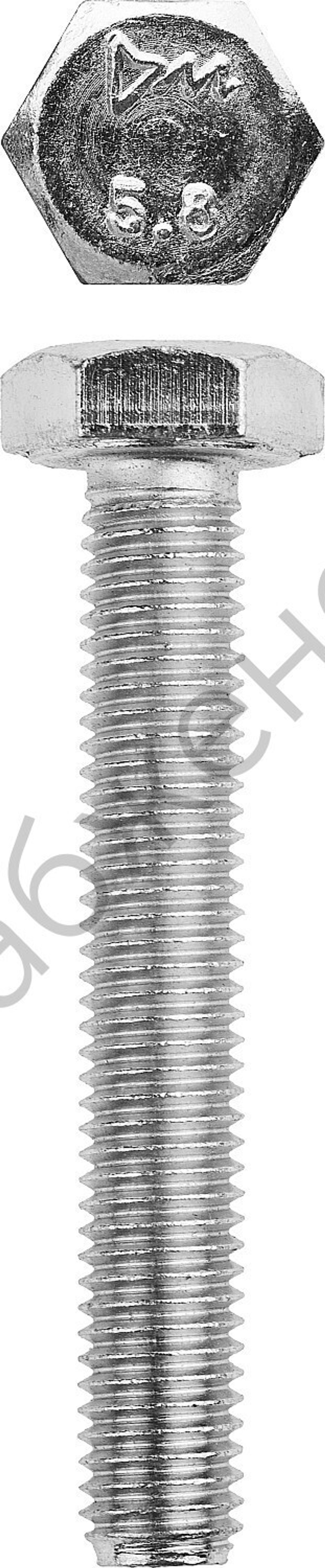 ЗУБР ГОСТ 7798-70 кл. пр. 5.8, M10 x 60 мм, болт оцинкованный, 5 кг (303080-10-060)