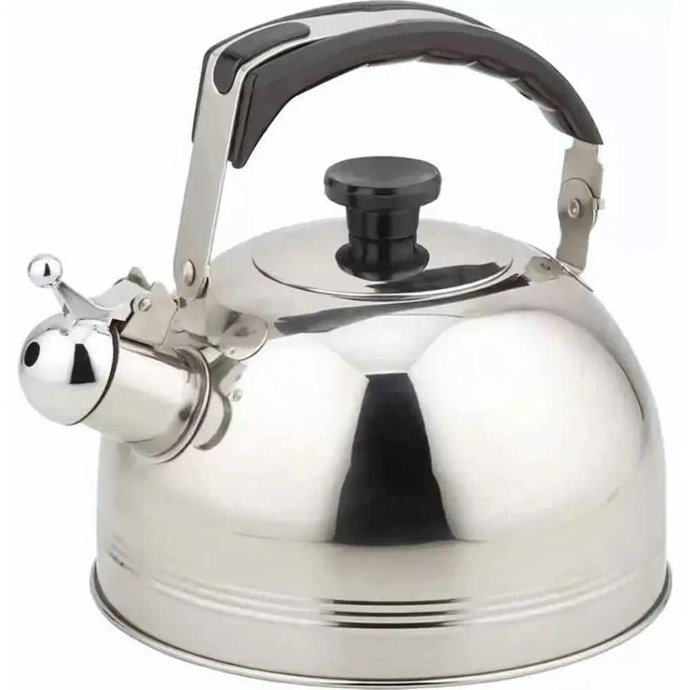 Чайник из нержавеющей стали 3л со свистком «TECO» TC-113