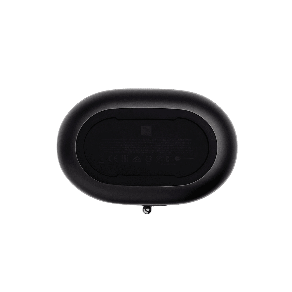 Портативная колонка JBL Tuner XL FM