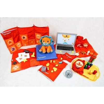 Компьютерно-игровой комплекс LigroGame