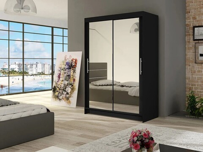 Шкаф-купе Сальвия Венге Цаво 3354  100*50*220