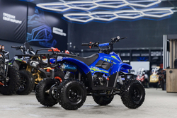 Квадроцикл TIGER 150 Universal RX