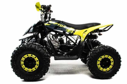 Квадроцикл MOTOLAND 125 Raptor