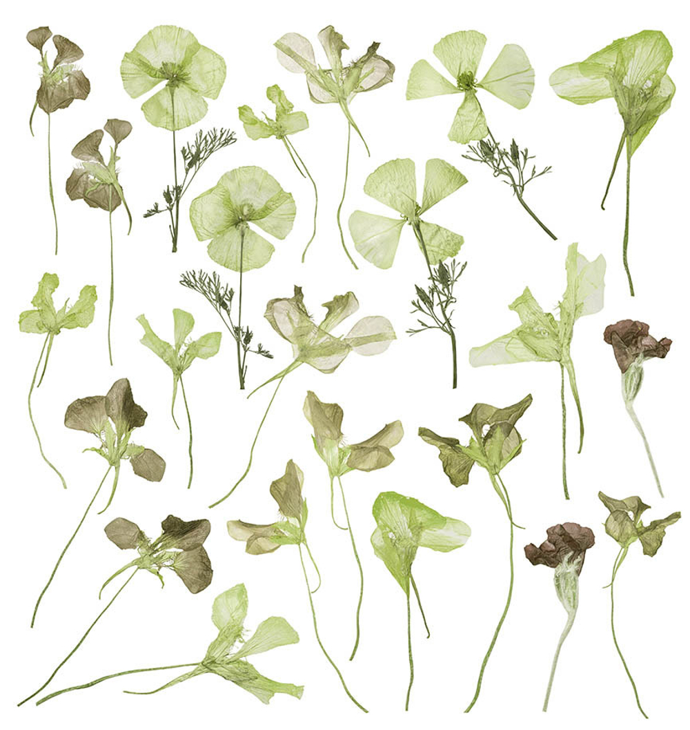 Дизайнерские обои Wall Street GreenDay