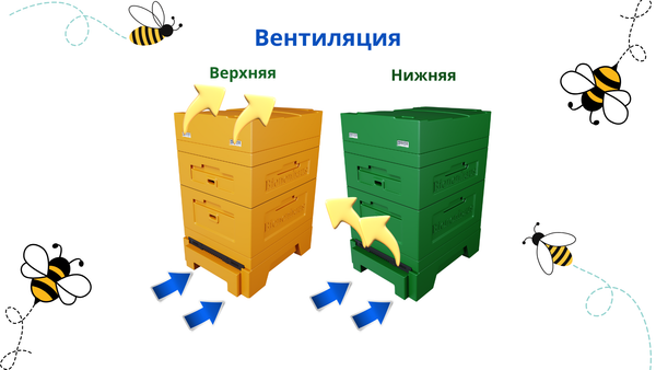 Вентиляция в ульях