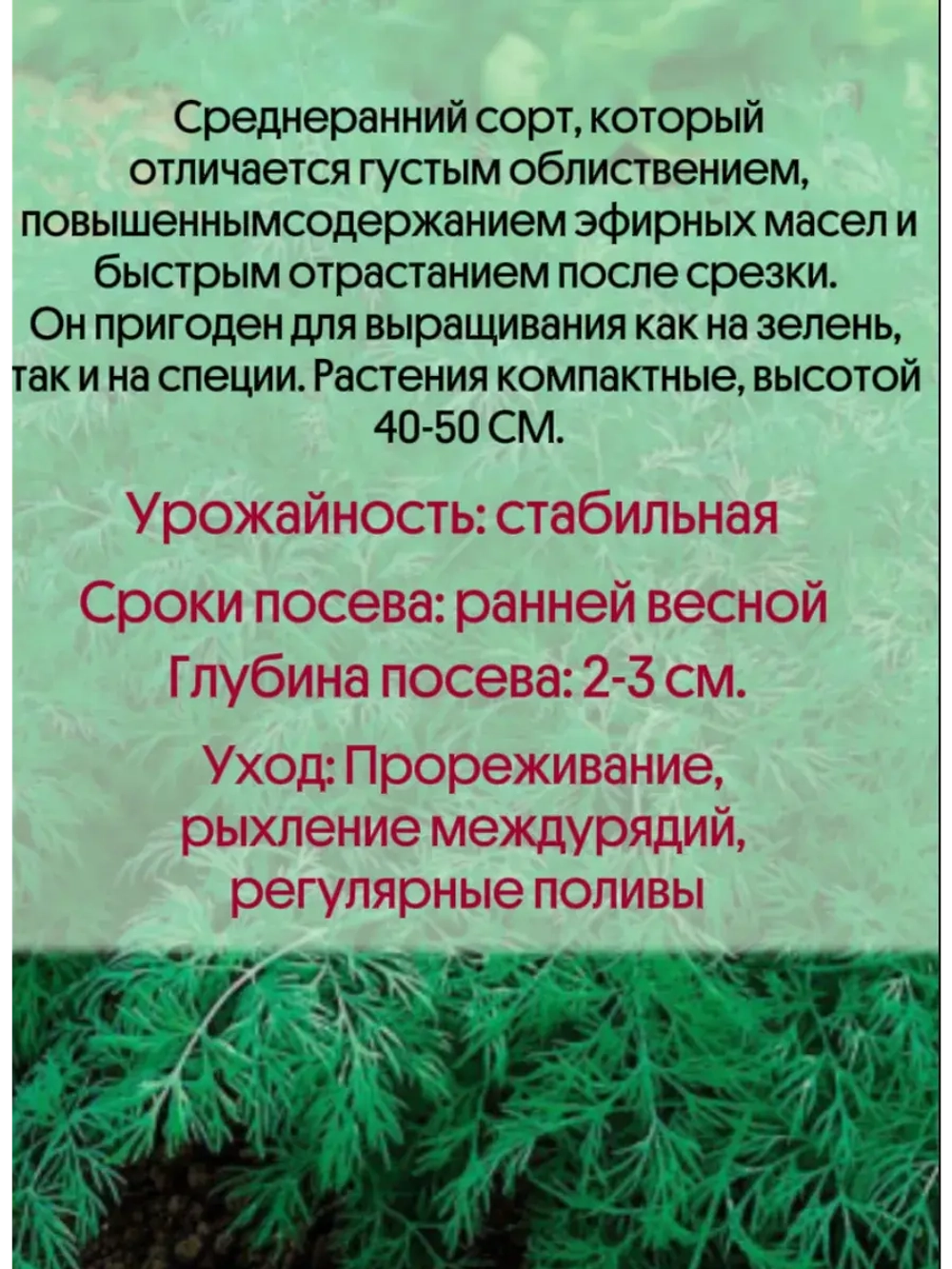 Укроп Скиф 10 гр