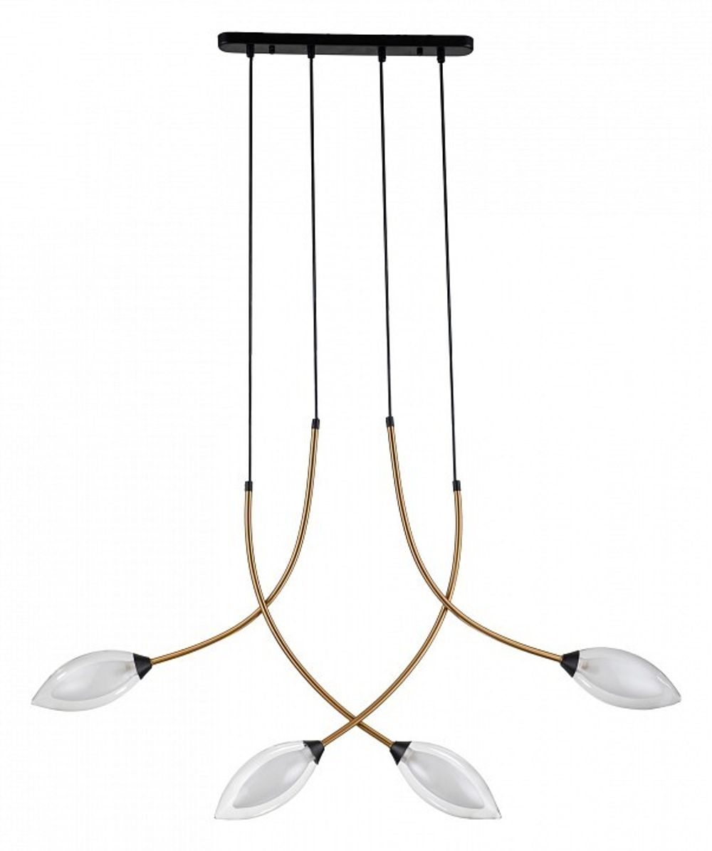 Подвесной светильник Indigo Fiore 13001/4P Black