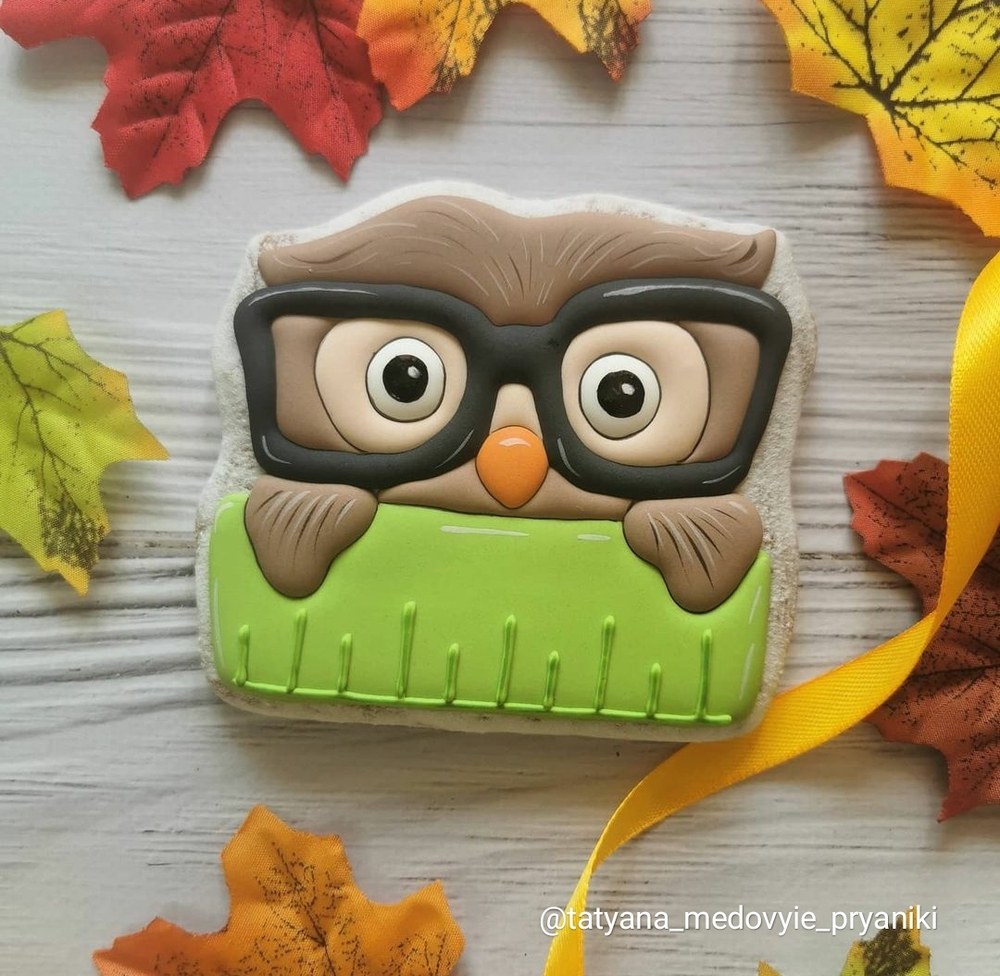 Сова №11 С линейкой