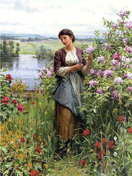 Основа с рисунком   для вышивания лентами "Среди роз"