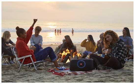 Портативная акустика JBL PartyBox On-The-Go, 100 Вт, черный