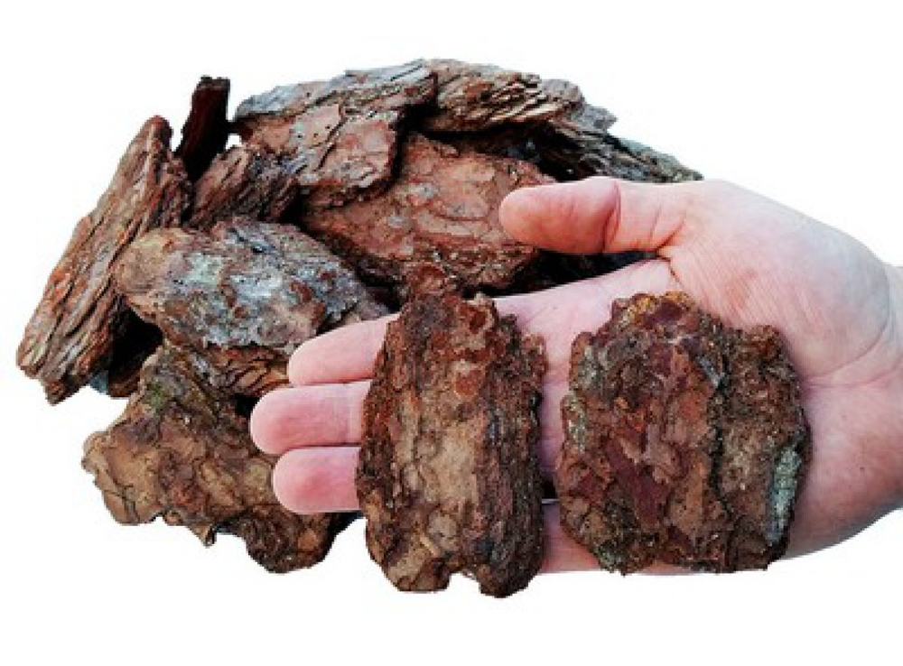 Кора сосны крупная