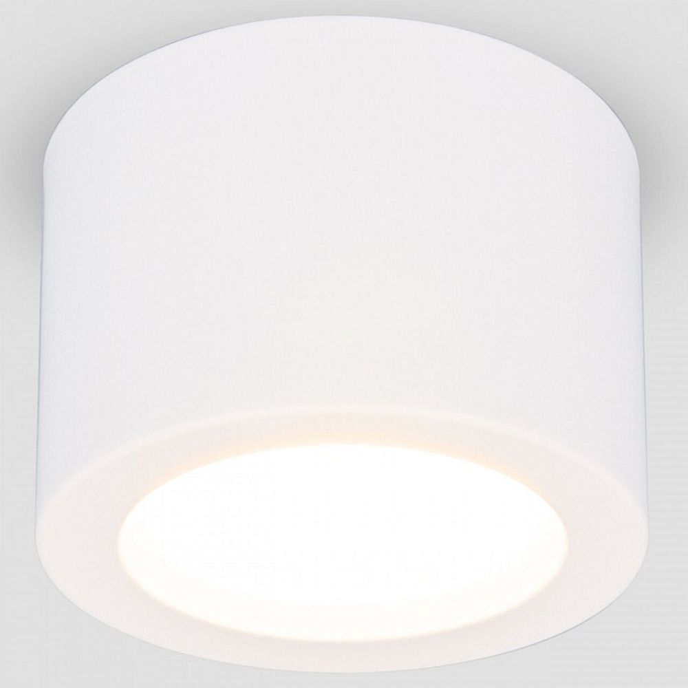 Накладной светильник Elektrostandard DLR026 a063935