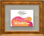 Рамка 23,7x29,7 для постера и фотографий RPS0201550-11