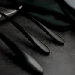Вилка столовая 21,5 см матовая черный цвет PVD Alessi-Black P.L. [12]