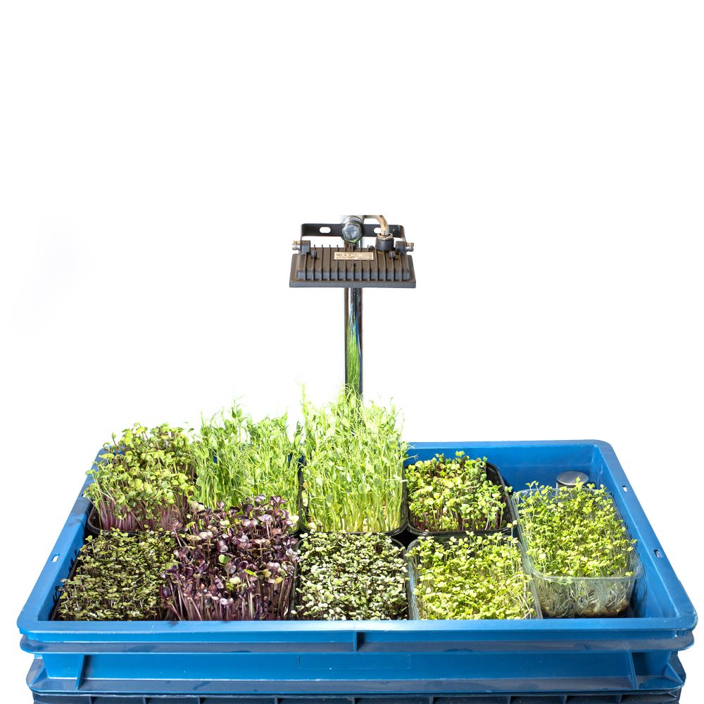 Гидропонная установка