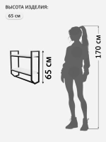 Полка настенная BADKAR